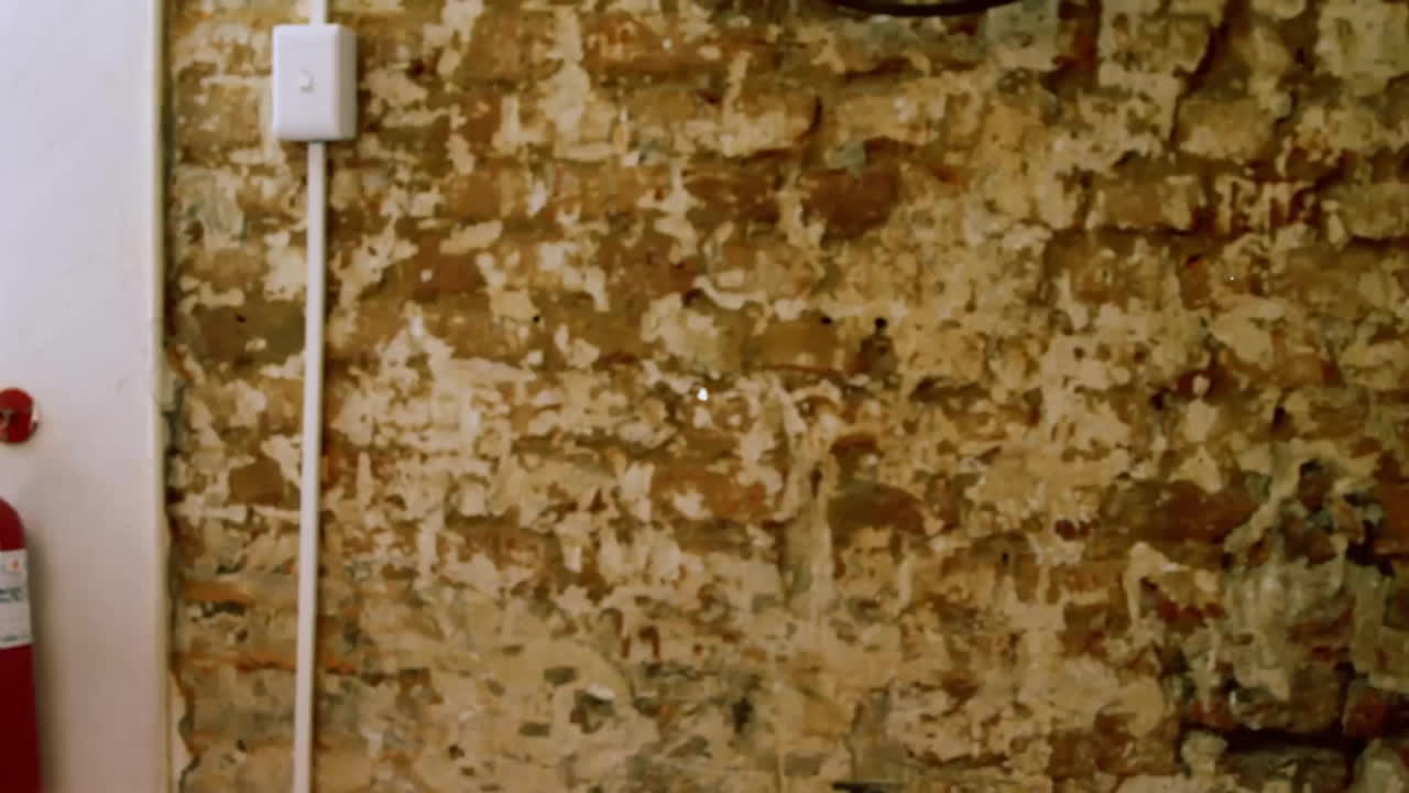 animación de la red de conexiones a través de la panadera caucásica usando la tableta