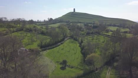 apple orchards at glatonbury tor