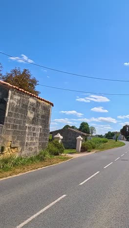 a peaceful road through lush vineyards