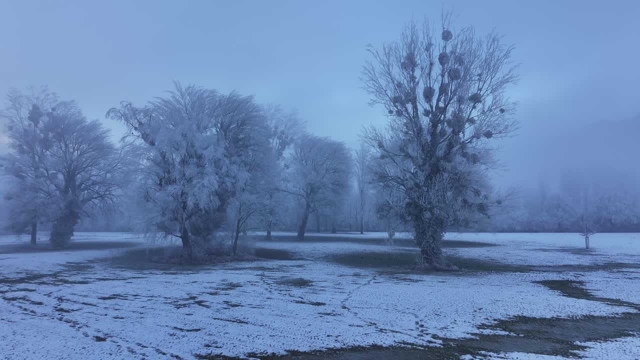 A winter wonderland near Walenstadt, Switzerland, where trees are heavily laden with frost, creating a magical and ethereal atmosphere.