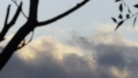 Clouds-Passing-Below-floating-suspended-in-the-sky-at-dusk---Timelapse-shot