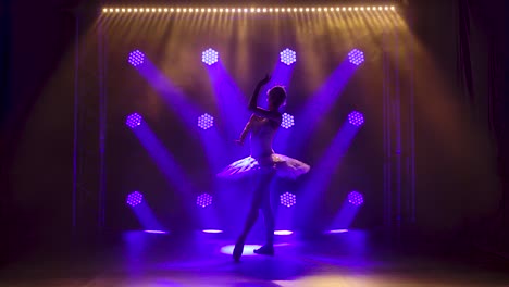Classical ballet choreography perfoming by young b 2023 11 27 04 49 11 utc (2).mov | art, background, ballerina, ballet