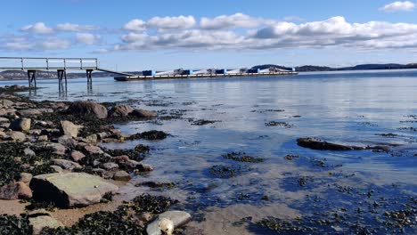 pan of rural scandinavian west seacoast with pebbles and seaweed during a sunny day