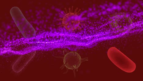 animación de la onda púrpura en las células en movimiento sobre fondo rojo