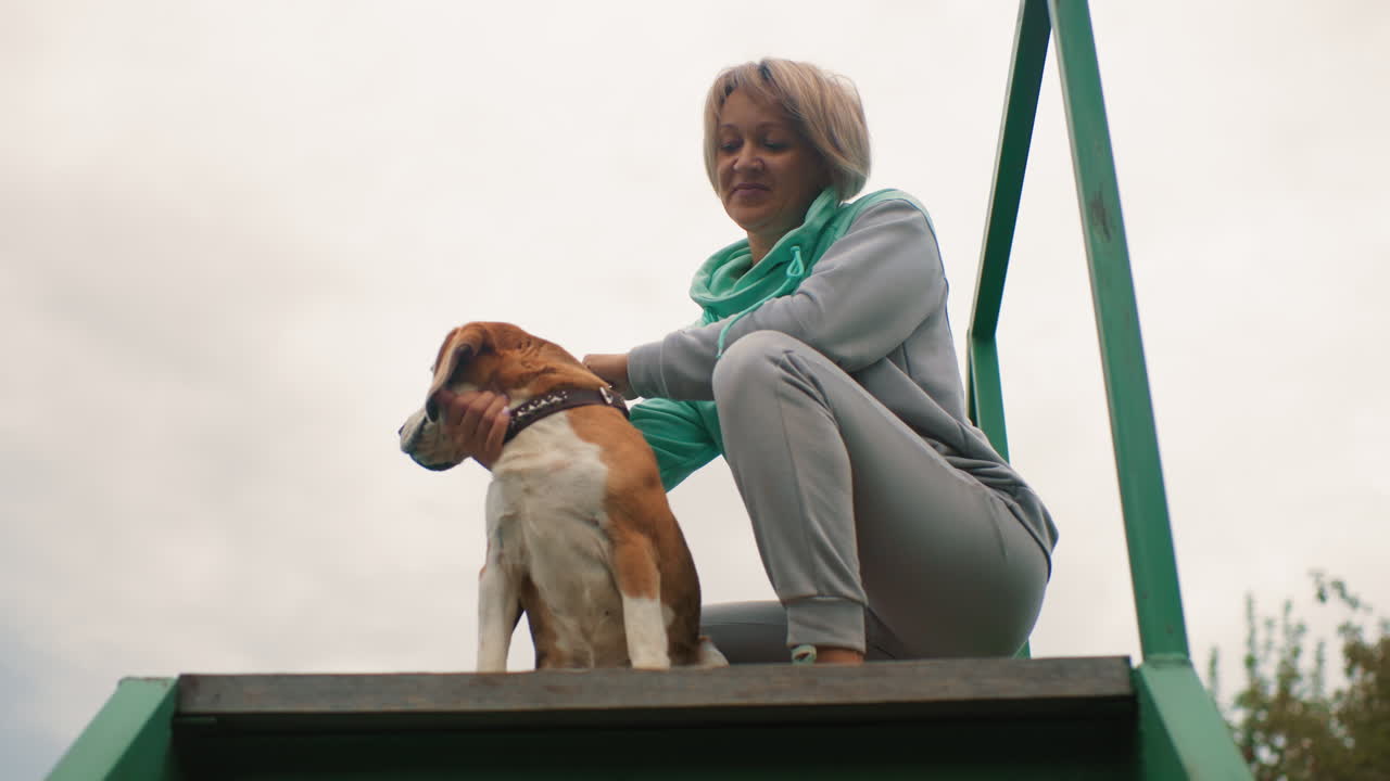 Dog tamer gently petting bulldog seated calmly on high podium outdoors under cloudy sky showing trust affection and bond between human and pet highlighting peaceful relaxed connection