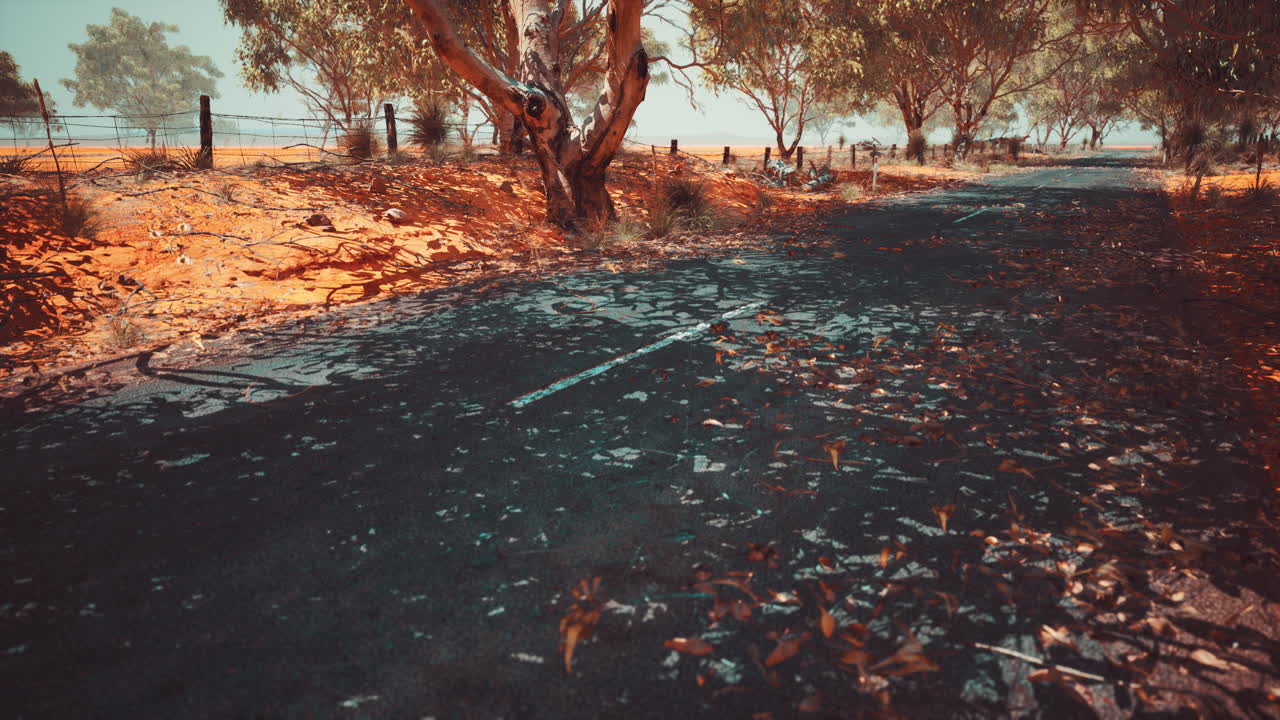 오스트레일리아 의 덤불 나무 들 이 있는 열린 도로