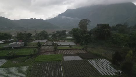 Misty-mountain-aerial-over-lush-agriculture-field-patterns-in-Bali