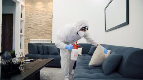 bedbug infestation and treatment service