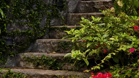 Stone Steps in a Tropical Garden with Plants and Flowers