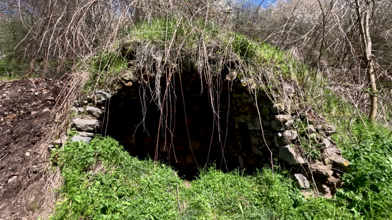 A walk takes place in a wooded area where an old stone structure is found. The stones are partially hidden by grass and plants. Nature surrounds this location on a sunny day