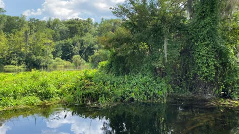 Genießen-Sie-An-Einem-Hellen-Sommertag-Eine-Bootsfahrt-Auf-Dem-Fluss-Im-Wakulla-Springs-State-Park-In-Tallahassee,-Florida