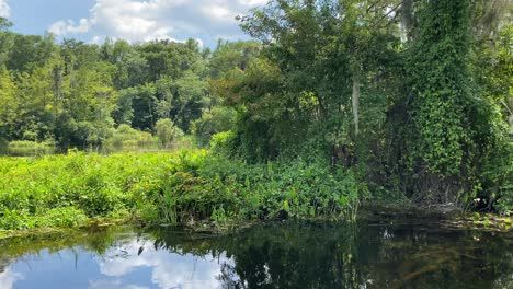 Disfrutando-De-Un-Paseo-En-Bote-Por-El-Río-En-El-Parque-Estatal-Wakulla-Springs-En-Tallahassee,-Florida-En-Un-Brillante-Día-De-Verano