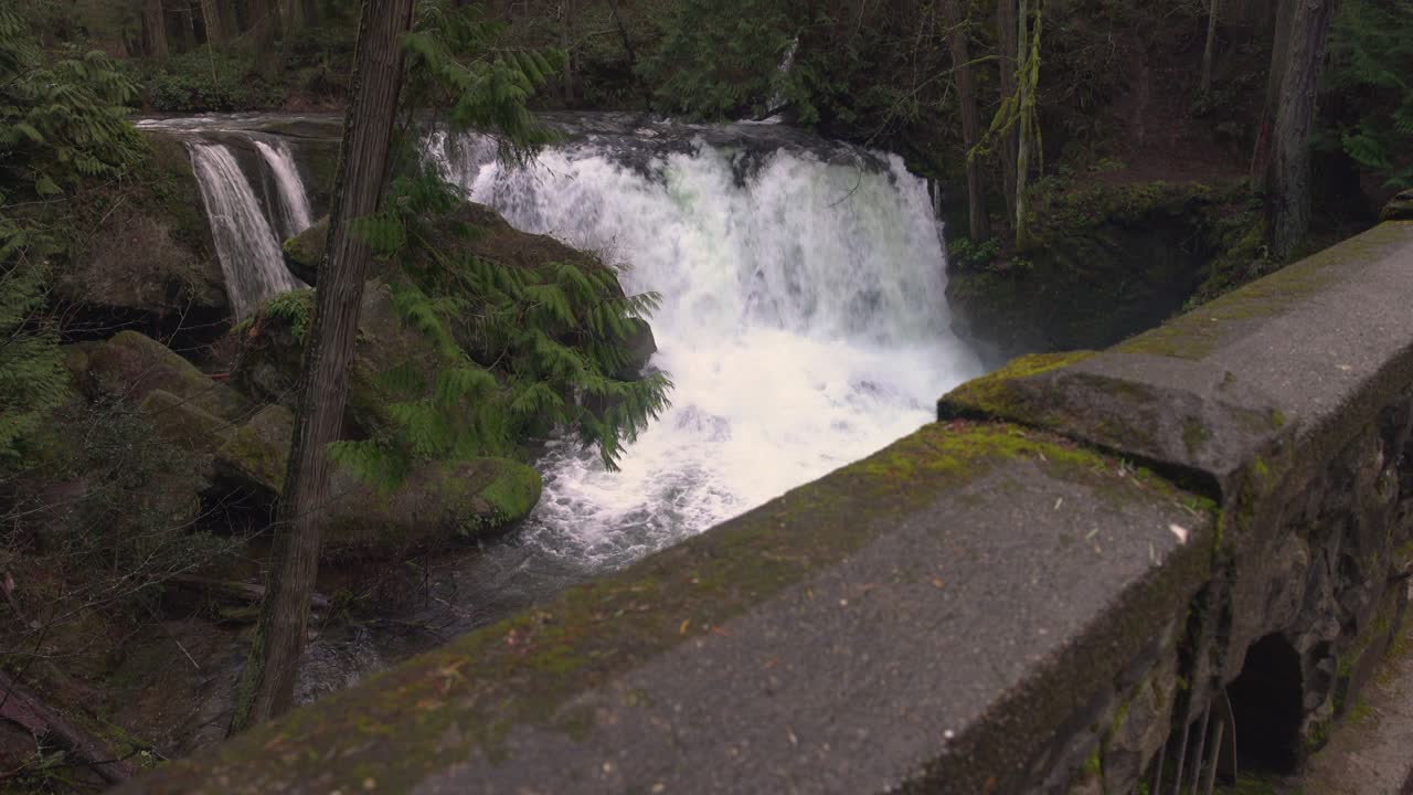 ¿qué ocurre, bellingham dolly? 4k uhd