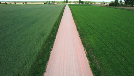 flying a drone on a moving car through the middle of the field