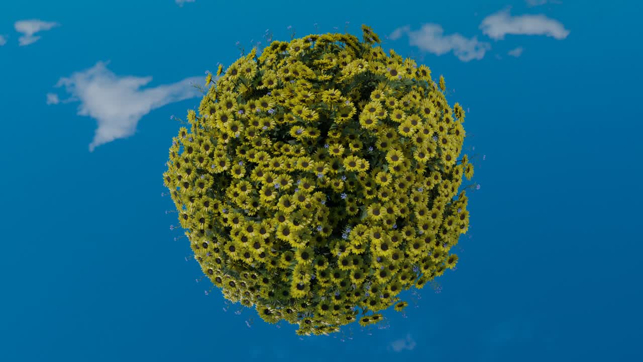 유럽의 평화 개념: 노란 꽃과 은 파란 하늘을 가진 회전하는 지구, 우크라이나 발의 색상, 3d 렌더링, 원활한 루프