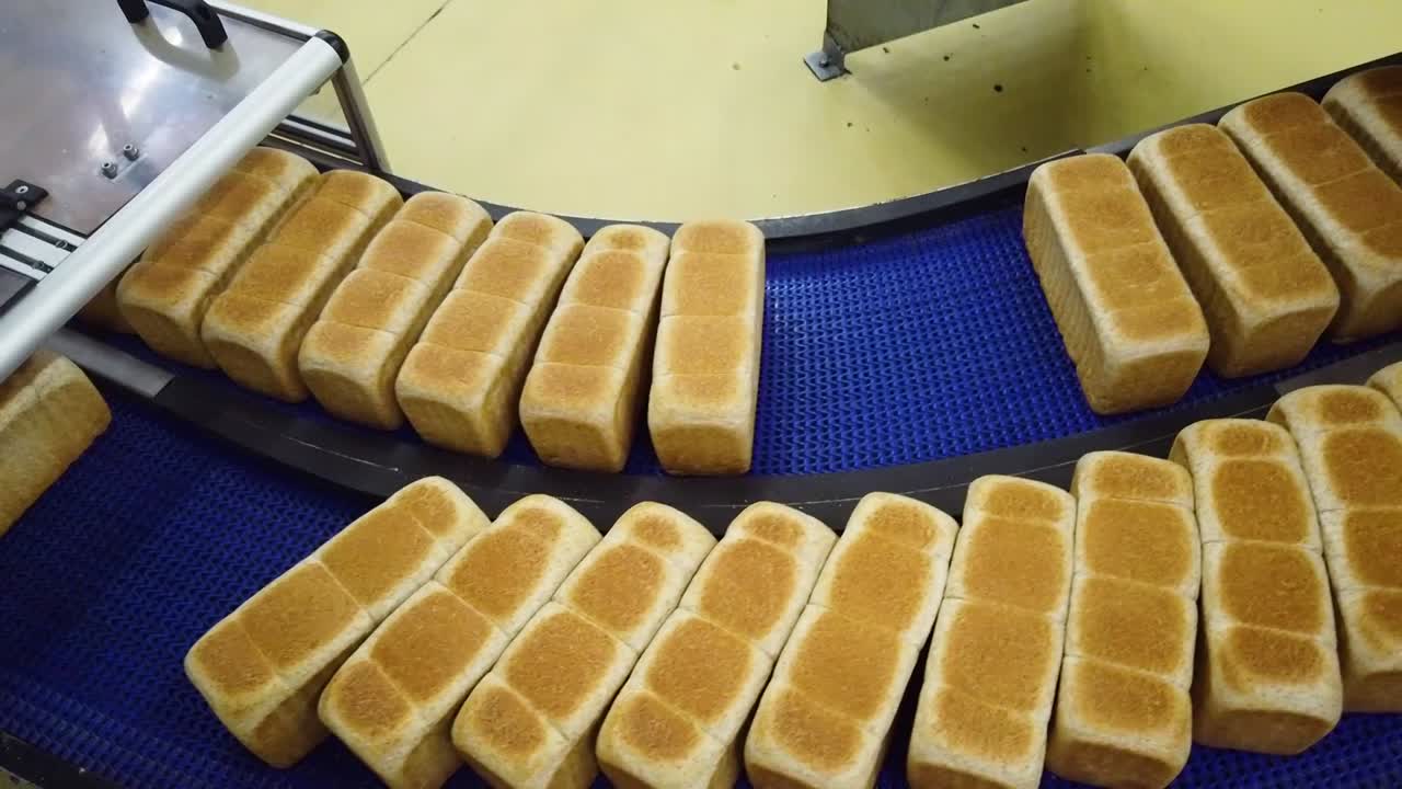 Freshly produced white bread moving along a factory conveyor belt.