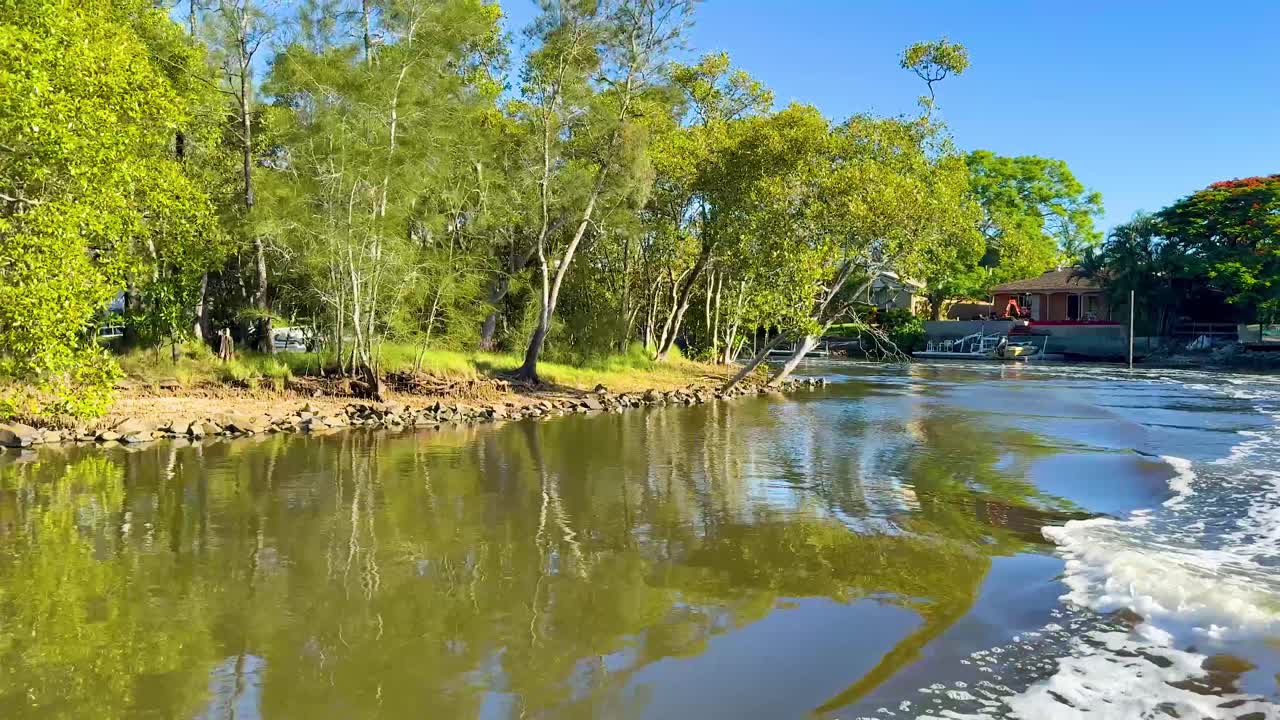 viaje panorámico por el río a través de la vegetación exuberante