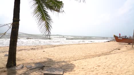 A-sea-shore-with-palm-tree-in-broad-daylight