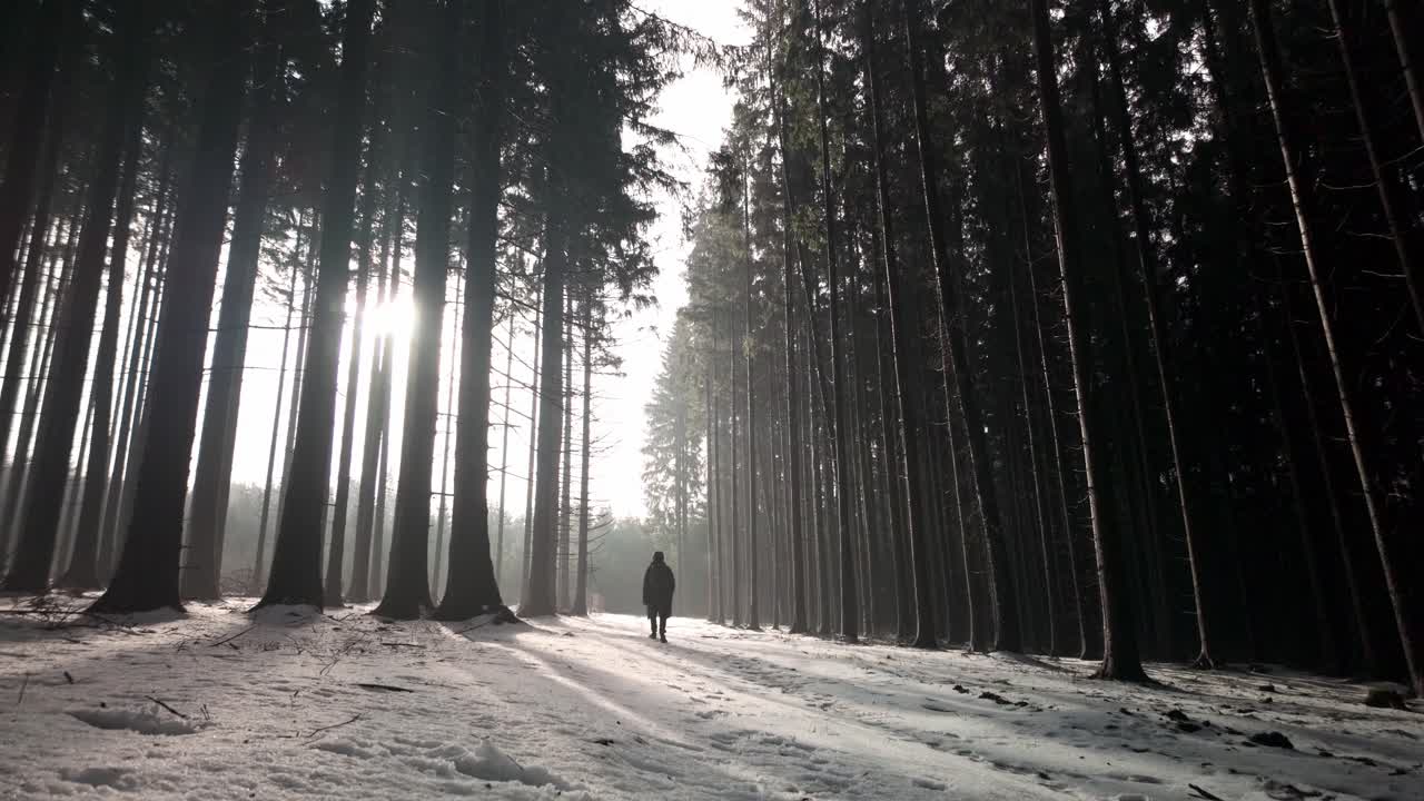Lost in a deserted forest following the light of the sun's rays. Winter nature covered with thick snow. Man alone in the forest