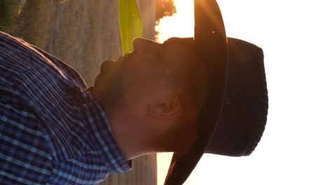 a caucasian farmer in a hat holds fresh organic corn cobs in his hands a caucasian farmer in a hat holds fresh organic corn cobs in his hands crop care concept