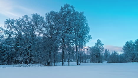 Zeitraffer-Von-Wolken-Fangen-Den-Dynamischen-Tanz-Der-Atmosphäre-über-Einer-Winterlandschaft-Ein