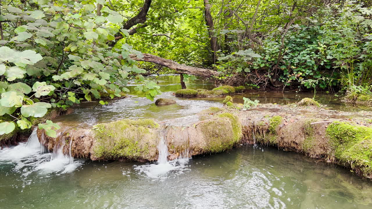 pequeñas cascadas aparecen en un arroyo en el parque nacional de krka en croacia
