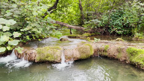 Pequeñas-Cascadas-Aparecen-En-Un-Arroyo-En-El-Parque-Nacional-De-Krka-En-Croacia.