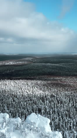 snowy forest landscape from above