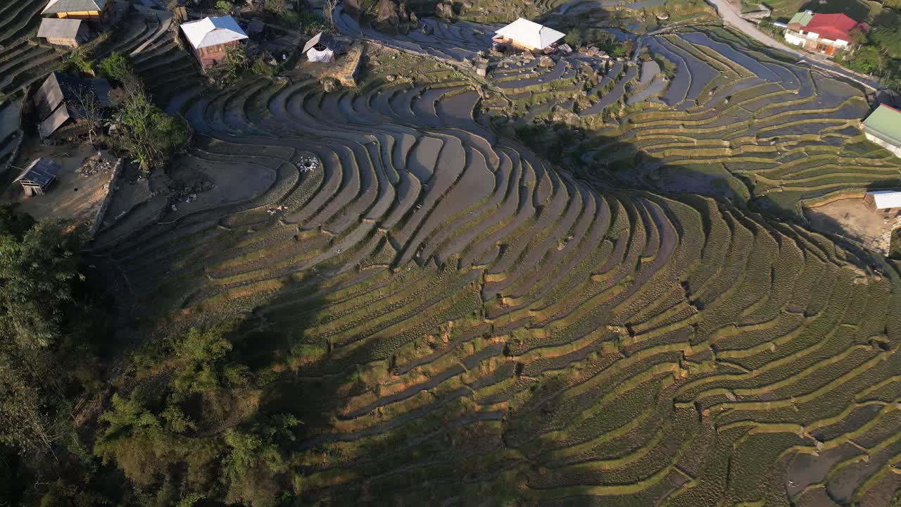 베트남 사파 산맥의 밝은 초록색  과 고지대 마을 위를 날아다니는 무인기 촬영
