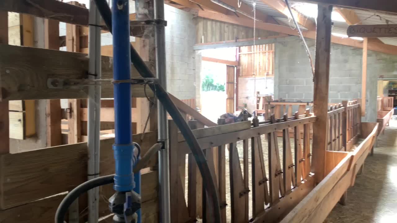 유럽 의 한 농장 에 있는 염소 창고