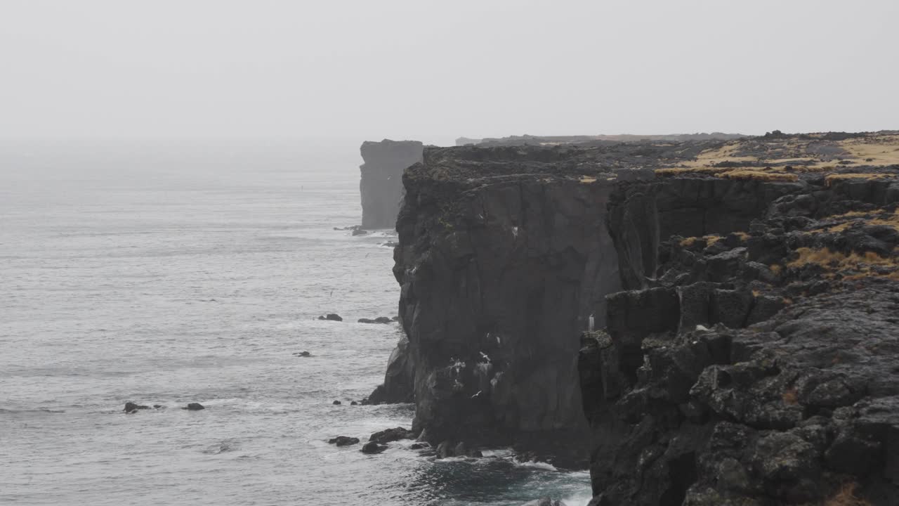 espectacular acantilado de svortuloft cerca del océano atlántico mientras el fulmar del norte vuela