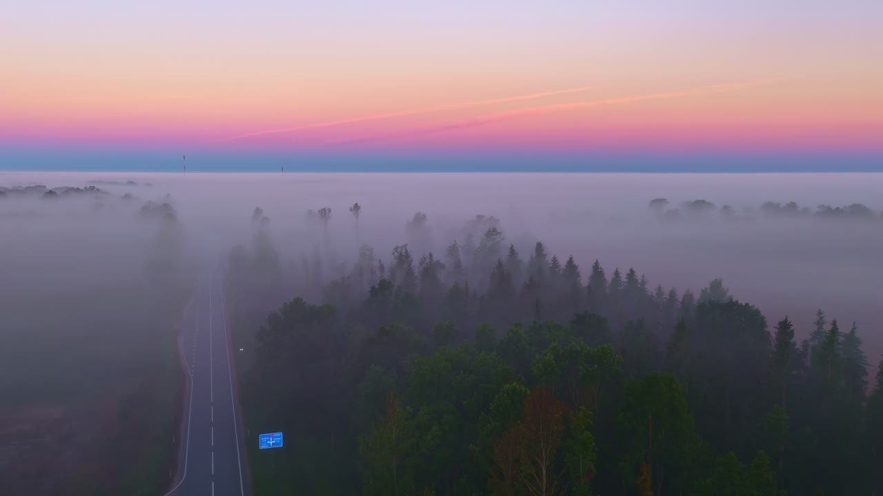 Aerial view of a road forest at sunrise with a thick layer of fog covering the landscape