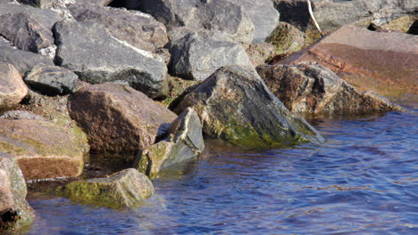 waves gently lapping onto harbour rocks at kristiansand