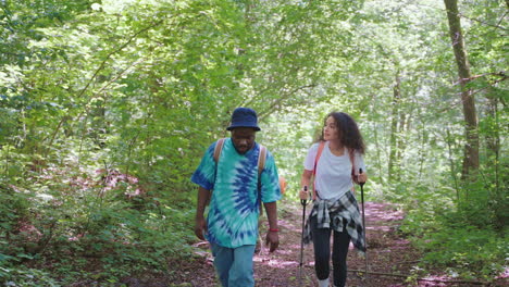 couple hiking in the woods