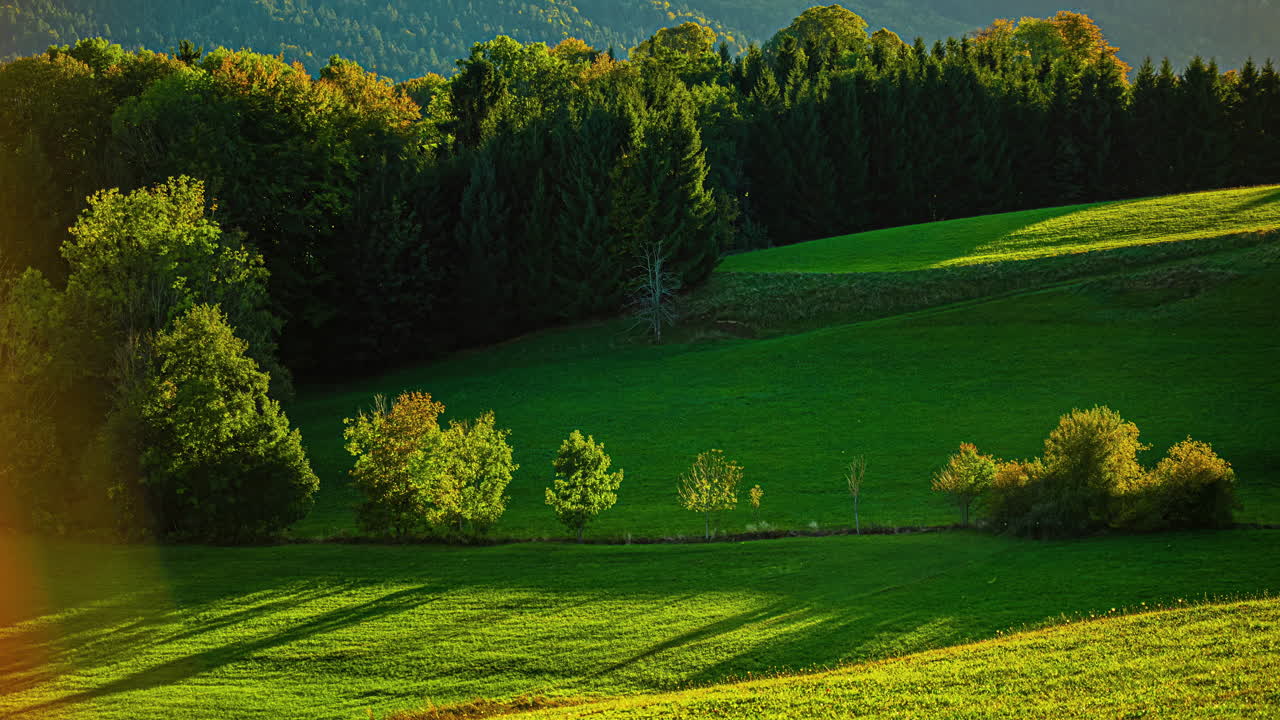 prado iluminado por el sol con un bosque como telón de fondo, attersee, austria, timelapse matutino
