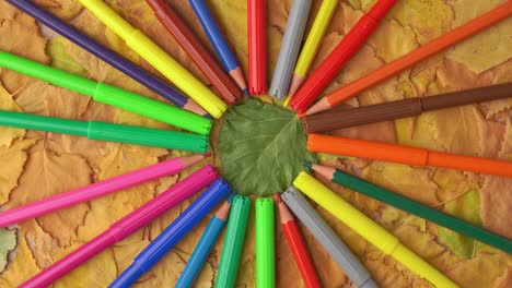 lápiz de colores y marcadores giran contra el fondo de hojas amarillas de otoño.