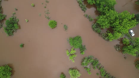 Natural-disaster-environmental-emergency-from-oil-spill-leaking-from-flooded-cars-in-river-water