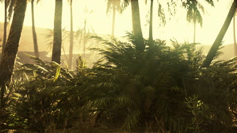 sandy-dunes-and-palm-trees-in-desert-Sahara