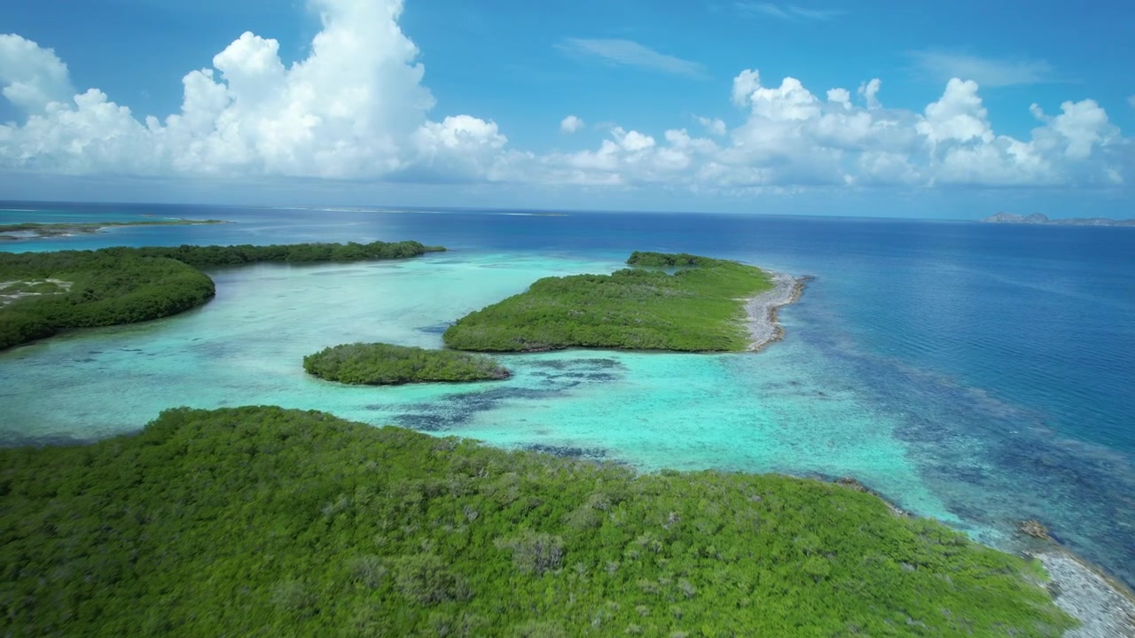 Frodig tropisk lagune med turkist vand og grøn kystlinje under en klar blå himmel