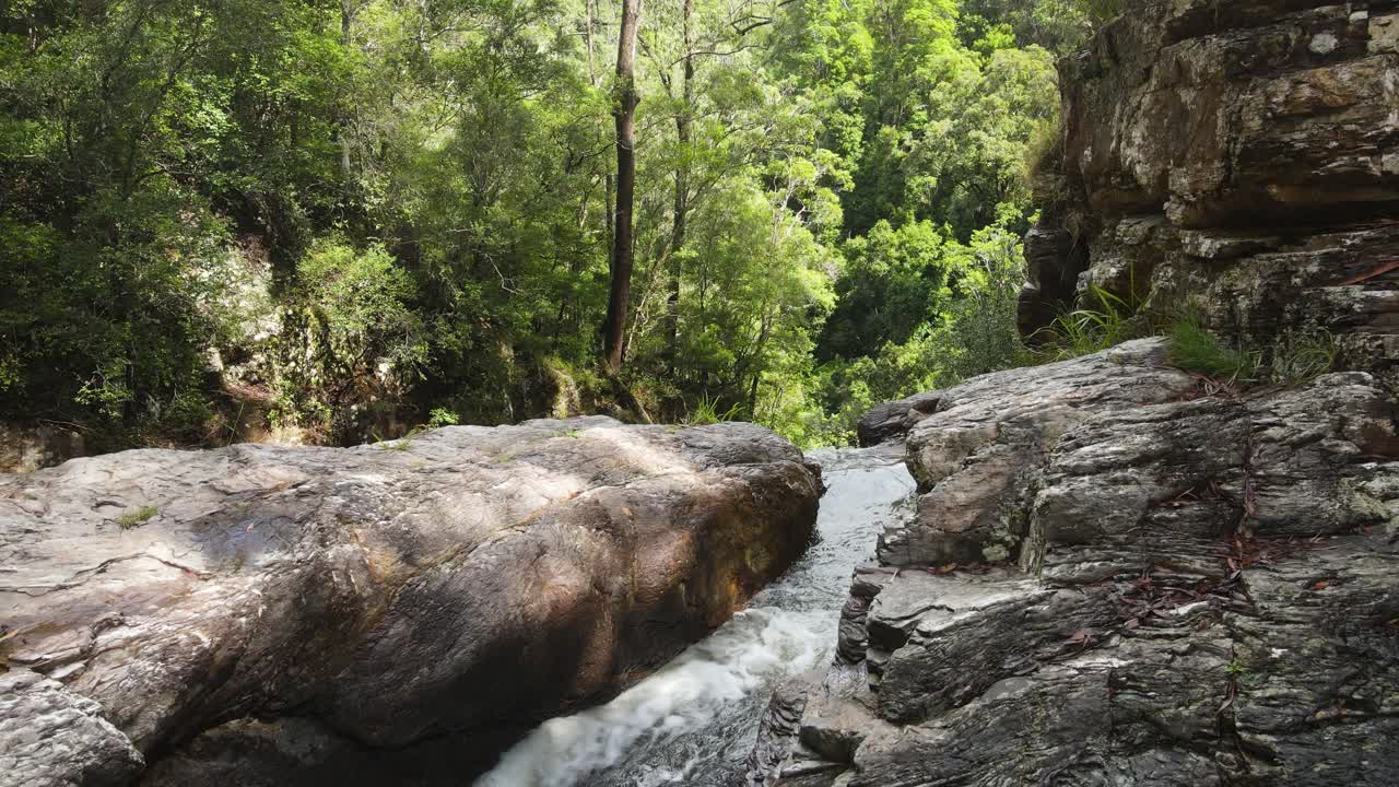 corriente de agua tallando canales a través de una formación rocosa sólida que desaparece en una densa selva tropical debajo