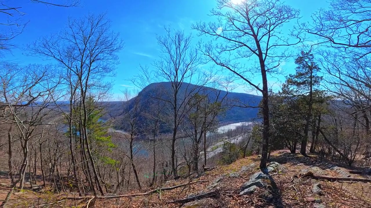 Pohled na Delaware Water Gap skrz stromy z horské stezky. Zvýšená perspektiva údolí řeky, mostu a dálnice orámovaná lesními stromy