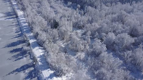 4k aerial video view of alpine snowy valley forest road and frozen river in peak of winter overflight - drone collection stock video