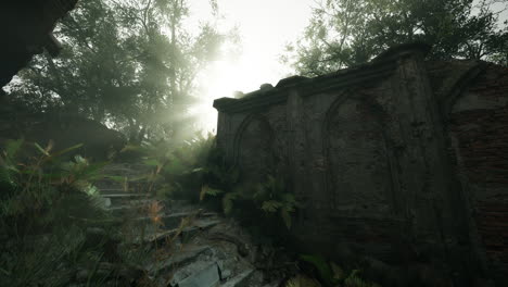 sunlit ruins in a foggy forest