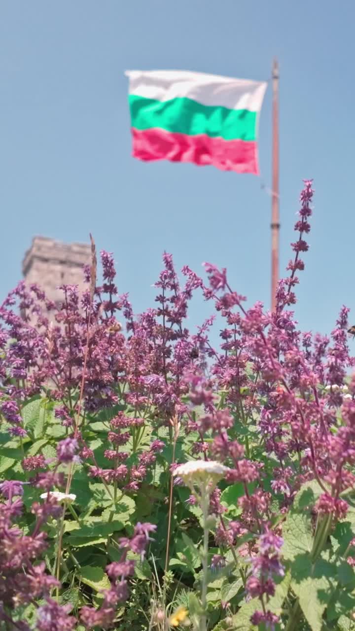 Wildflowers grow below Bulgarian flag flying on Shipka Pass VERTICAL