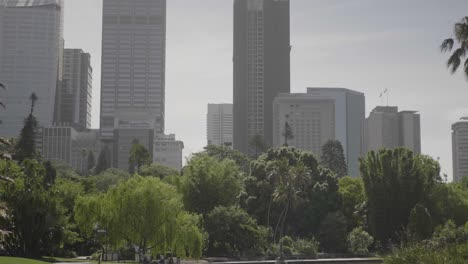 Weite-Aufnahme-Des-Botanischen-Gartens-Royale-Und-Des-Zentralen-Geschäftsviertels-Von-Sydney-An-Einem-Sonnigen-Tag