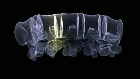 futuristic holographic x-ray tomography scanning patient's backbone for health evaluation simulation medical examination, and assessment in full rotation loop with alpha channel - medical concept