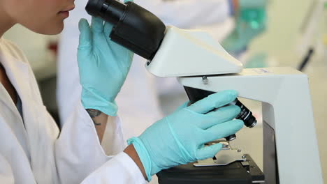 Science-students-working-in-the-laboratory-with-one-looking-through-microscope