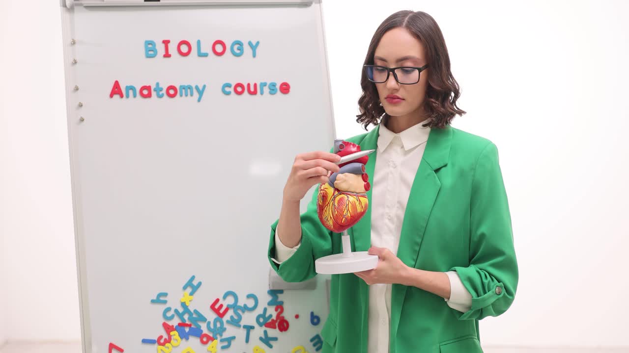 Female teacher presenting anatomy course with human heart model