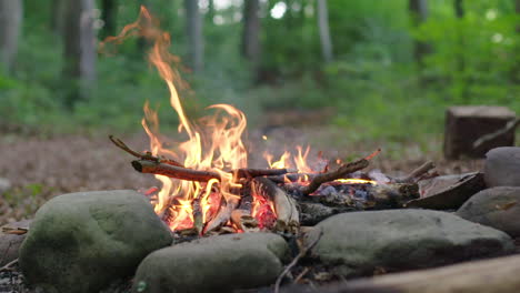 summer campfire in the forrest