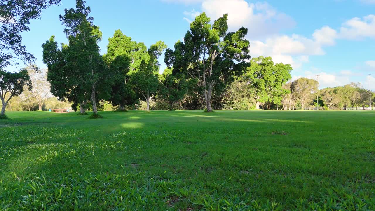 A serene park landscape with vibrant green grass and tall trees under a bright blue sky, captured in daylight